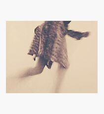 some days i'm an animal some days i'm a pet Fotodruck