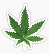 Pot Leaf Sticker