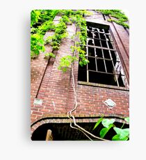 Healthy Leaves Canvas Print