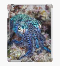 Bobtail Squid iPad-Hülle & Skin