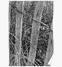 Fence Poster