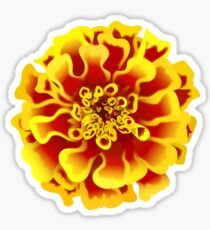Marigold Sticker