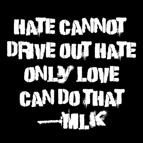 love-vs-hate-posters-by-oddfiction-redbubble