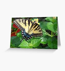 Tiger Swallowtail on Lantana Flowers Greeting Card