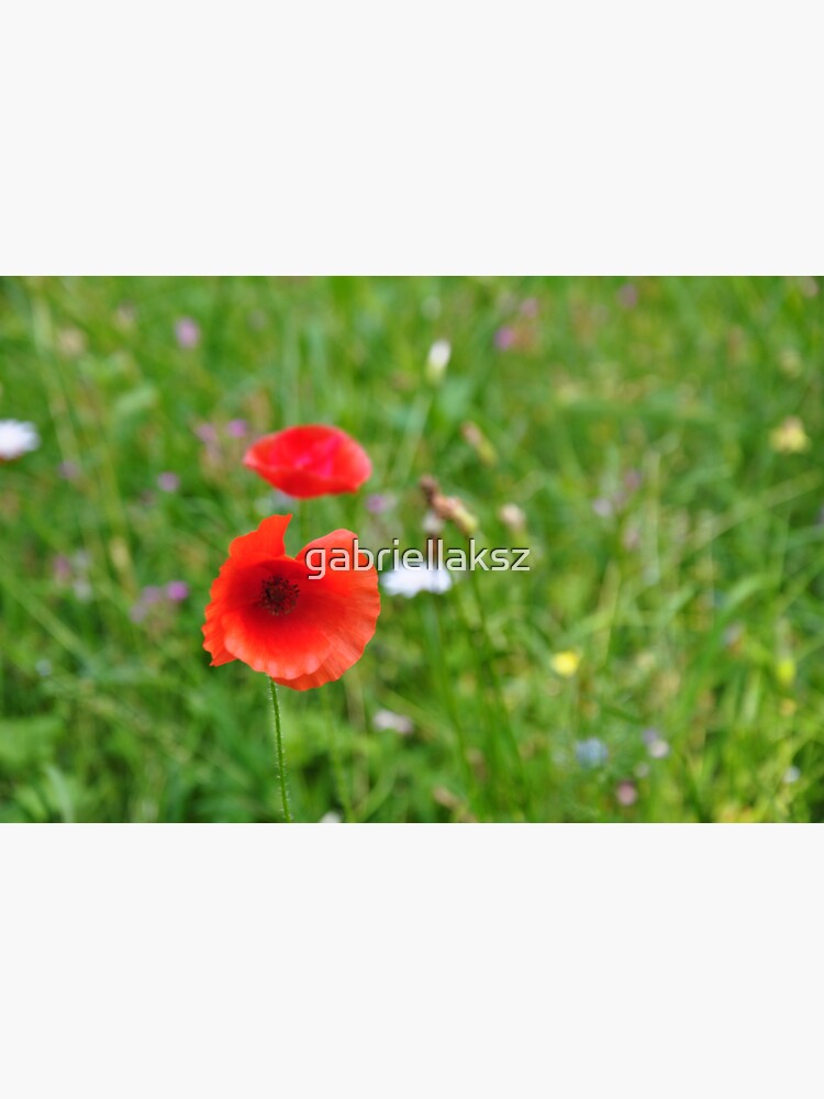 Poppy by gabriellaksz