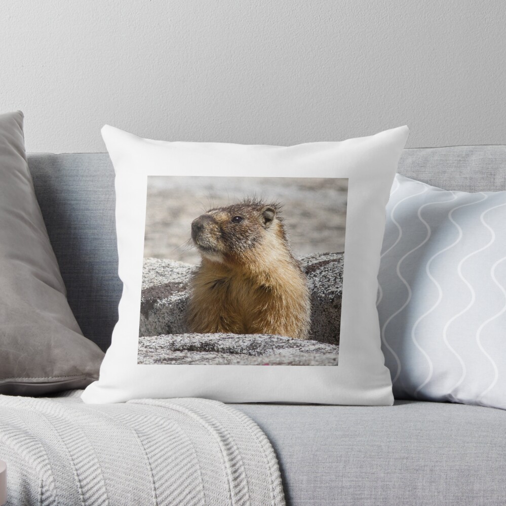 A marmot appears Throw Pillow