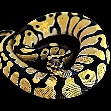 Ball Python Axanthic Pied Snake Poster for Sale by Elarex