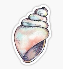 Conch Shell Sticker -Watercolor Illustration Sticker