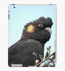 Yellow-tailed Black Cockatoo iPad Case/Skin