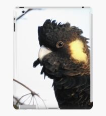 Yellow-tailed Black Cockatoo iPad Case/Skin