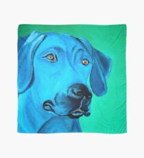 Paul Scarf