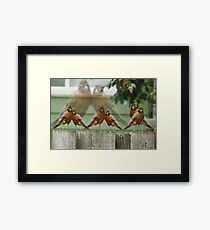 BIRDS Framed Print