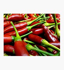 Not So Chilli In Here Photographic Print