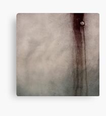 Downward Spiral Canvas Print