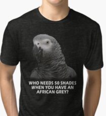 Shades of Grey Tri-blend T-Shirt