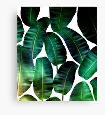 Cosmic Banana Leaves #redbubble #lifestyle Canvas Print