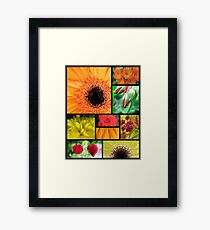 Macro Flowers Framed Print