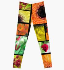 Macro Flowers Leggings