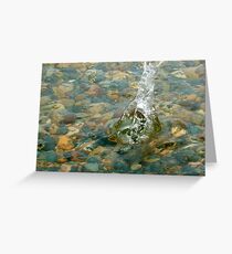 Sploosh Greeting Card