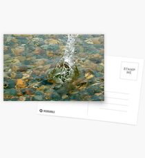 Sploosh Postcards