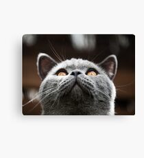 What Are you waiting for? Theres my chin Canvas Print