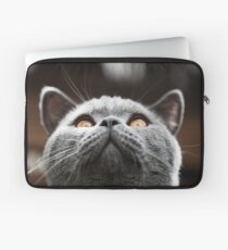 What Are you waiting for? Theres my chin Laptop Sleeve