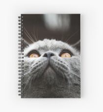 What Are you waiting for? Theres my chin Spiral Notebook