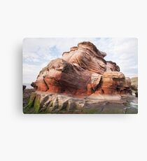 Erosion Canvas Print