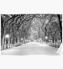 Winterlandschaft Cental Park New York, NY Poster
