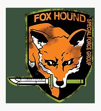 Foxhound Photographic Print