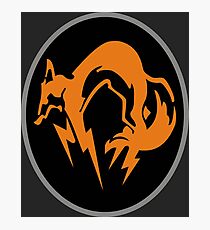 Fox Photographic Print