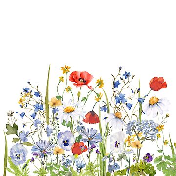 Summer Meadow Watercolor Collection