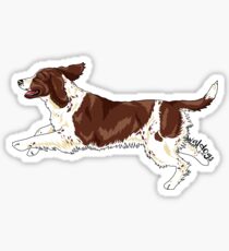 English springer spaniel Sticker