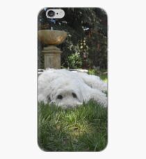 Golden Doodle Dog in Grass iPhone Case