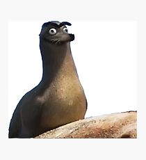 Lámina fotográfica Gerald Finding Dory