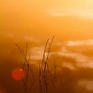 Simplicity by PeaceInArt