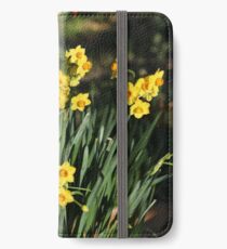 Daffodils iPhone Wallet/Case/Skin