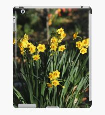 Daffodils iPad Case/Skin