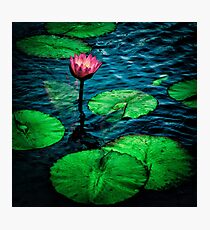 iridescent Photographic Print