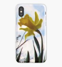 Daffodils iPhone Case