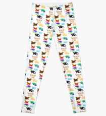 Wings of Fire Tribes Leggings