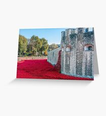 Cascading Poppies, Tower of London Greeting Card