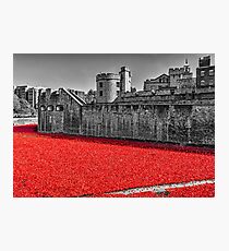 Sea Of Red Photographic Print