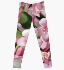Playful Pinks Leggings