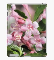 Playful Pinks iPad Case/Skin
