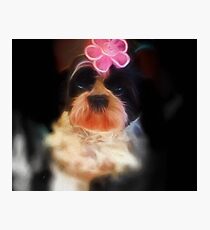 Tana's Flower Photographic Print