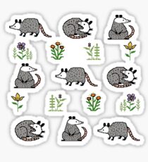 Possum Parade Sticker