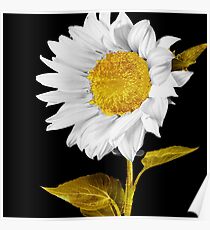 Gold Hearted Poster