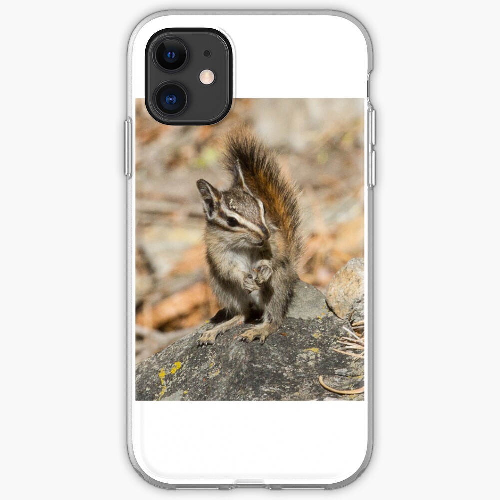 Hello chipmunk! iPhone Case & Cover