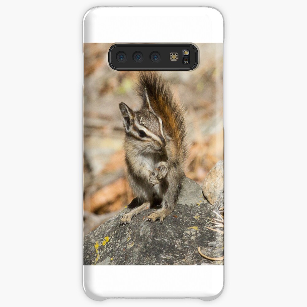 Hello chipmunk! Case & Skin for Samsung Galaxy